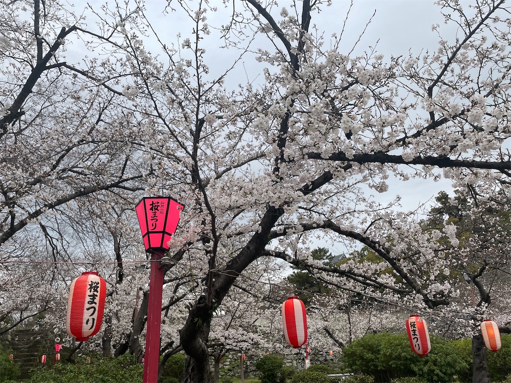 f:id:michiko_0609:20250423075241j:image