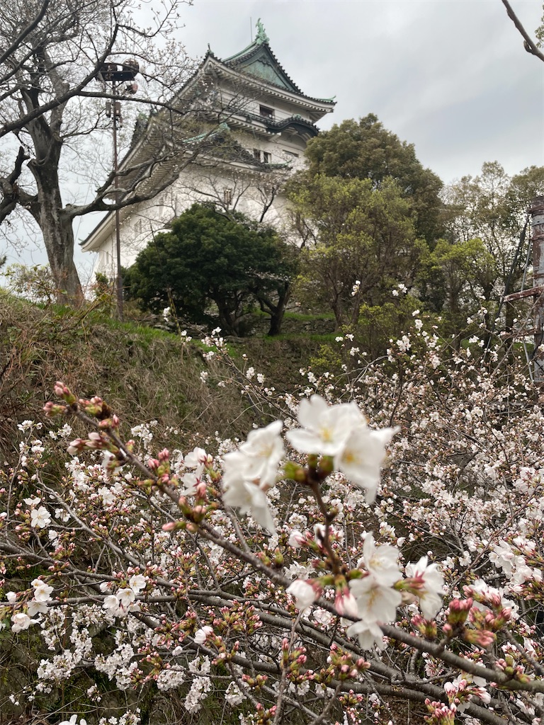 f:id:michiko_0609:20250423081414j:image