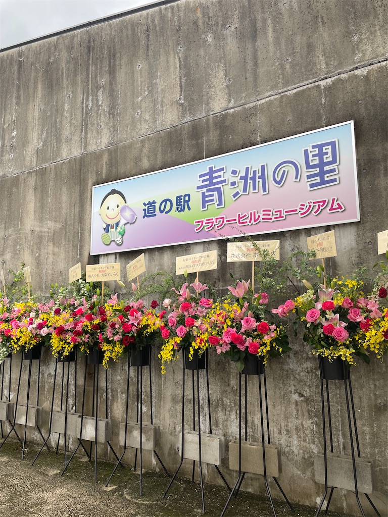 f:id:michiko_0609:20250423084001j:image