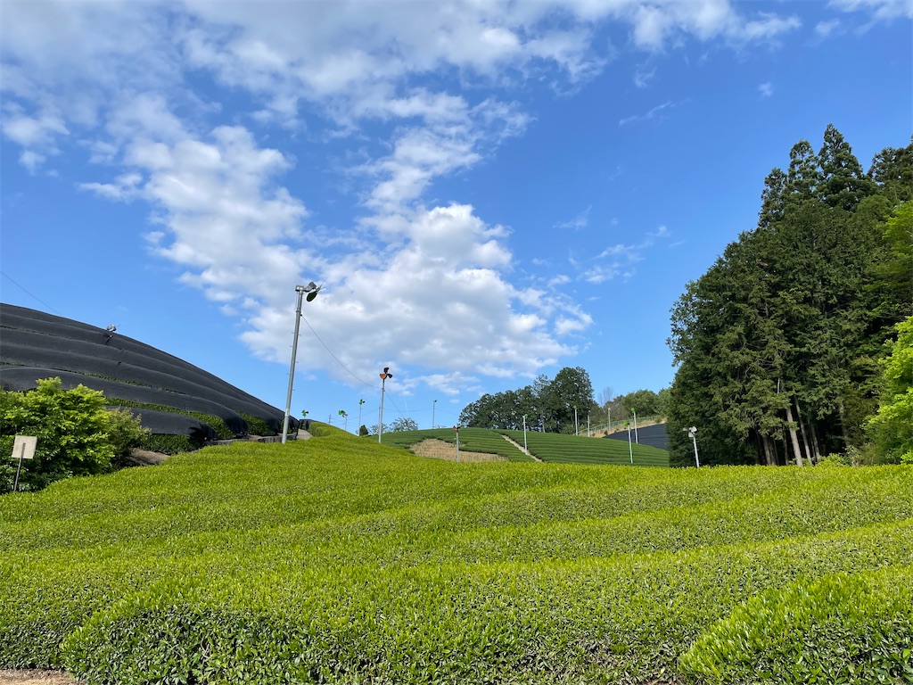 f:id:michiko_0609:20250505183212j:image