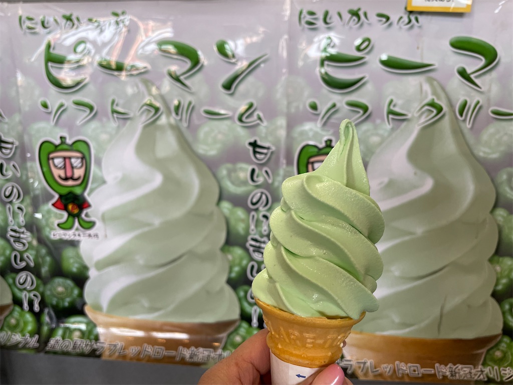 f:id:michiko_0609:20250610123954j:image