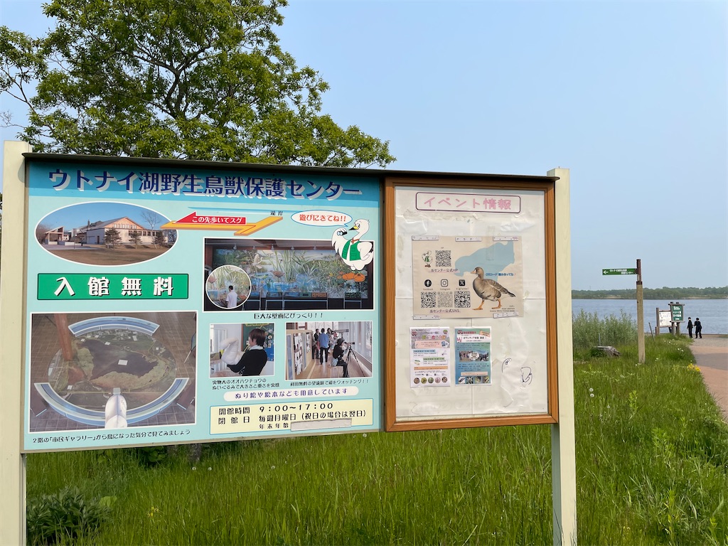 f:id:michiko_0609:20250610124008j:image