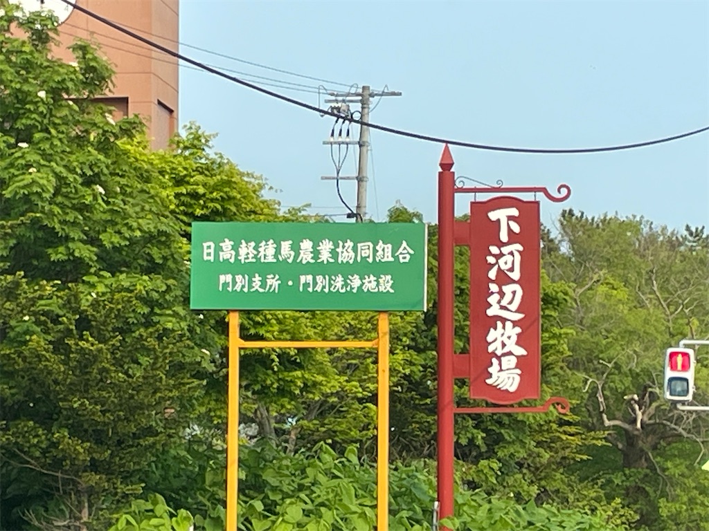 f:id:michiko_0609:20250610124041j:image