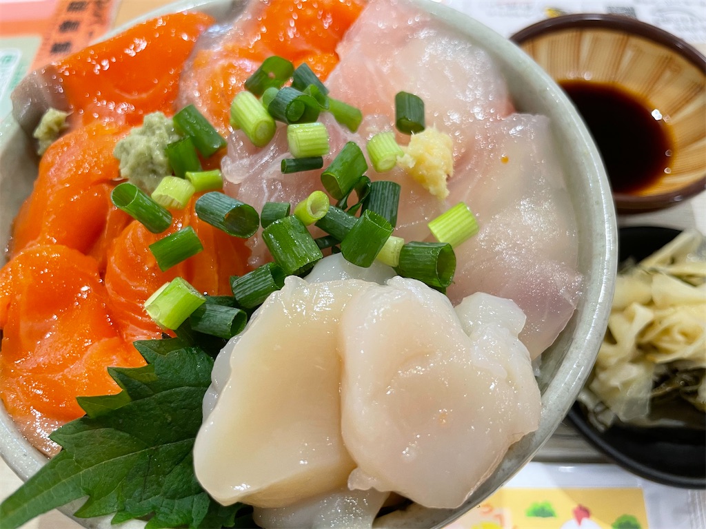 f:id:michiko_0609:20250610124047j:image