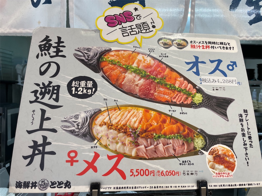 f:id:michiko_0609:20250610124241j:image