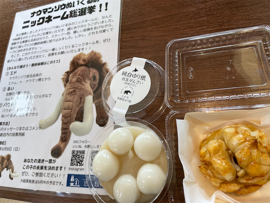 f:id:michiko_0609:20250615161738j:image