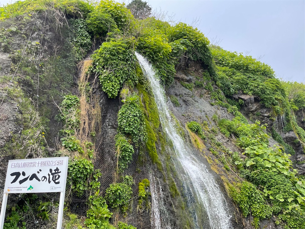 f:id:michiko_0609:20250615161906j:image