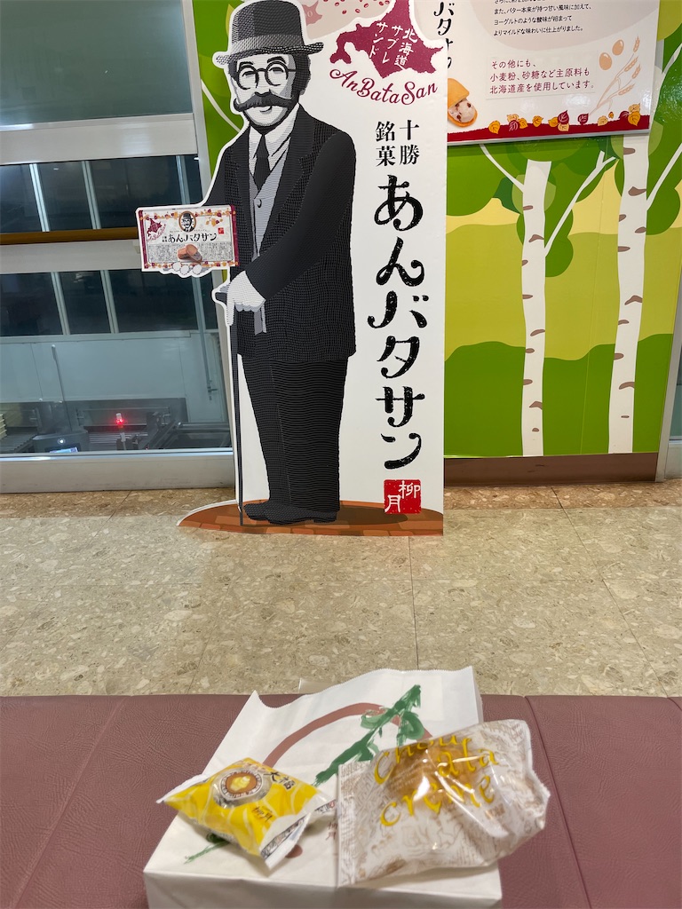 f:id:michiko_0609:20250615163302j:image