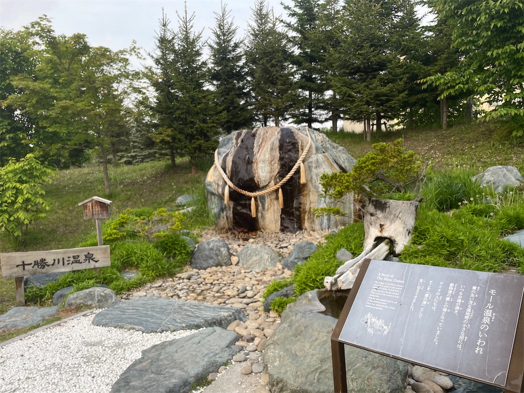 f:id:michiko_0609:20250615163316j:image