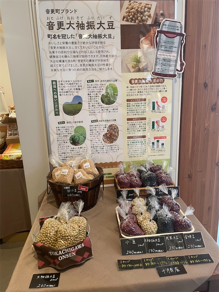 f:id:michiko_0609:20250615163324j:image