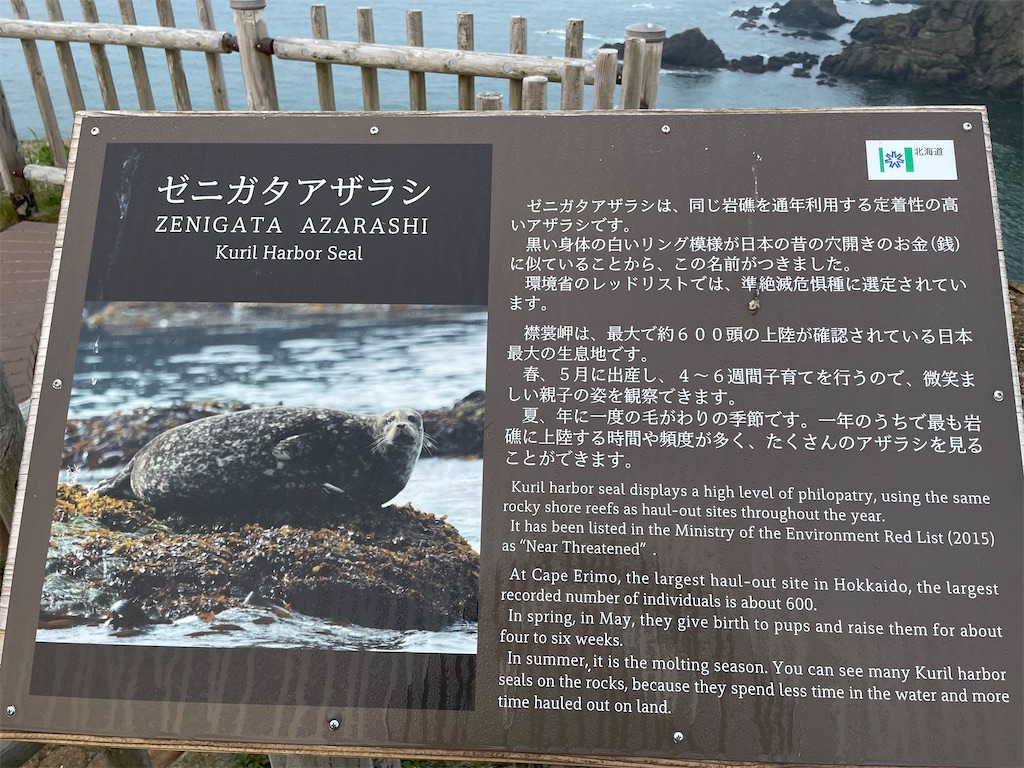 f:id:michiko_0609:20250615163703j:image