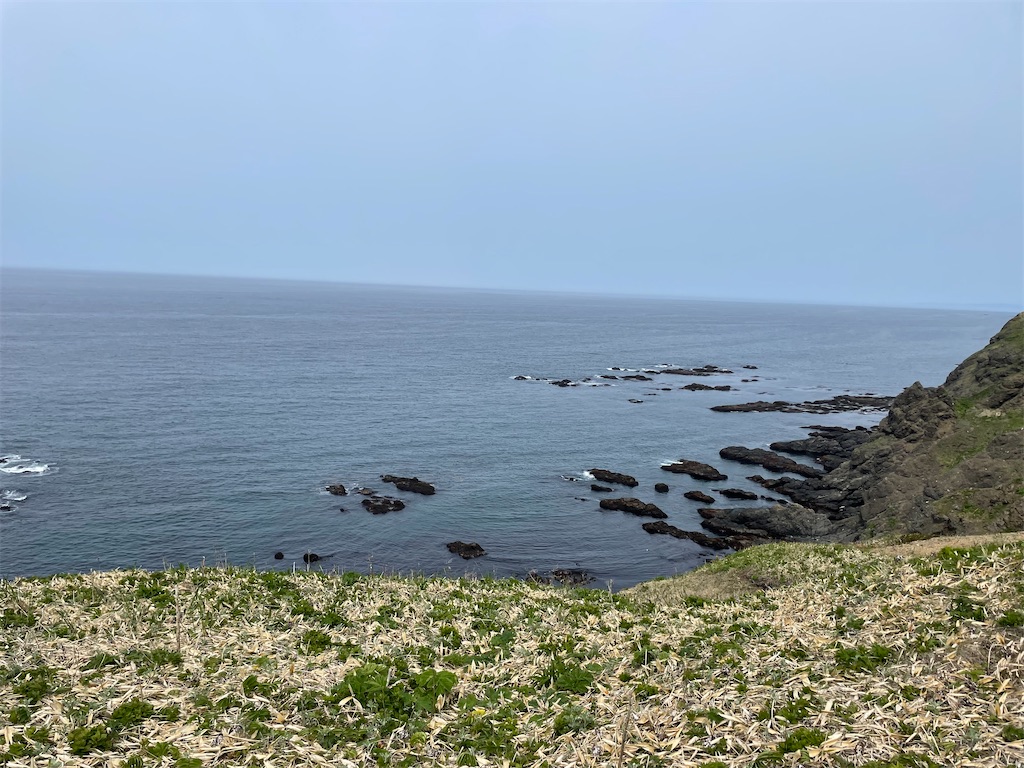 f:id:michiko_0609:20250615163834j:image