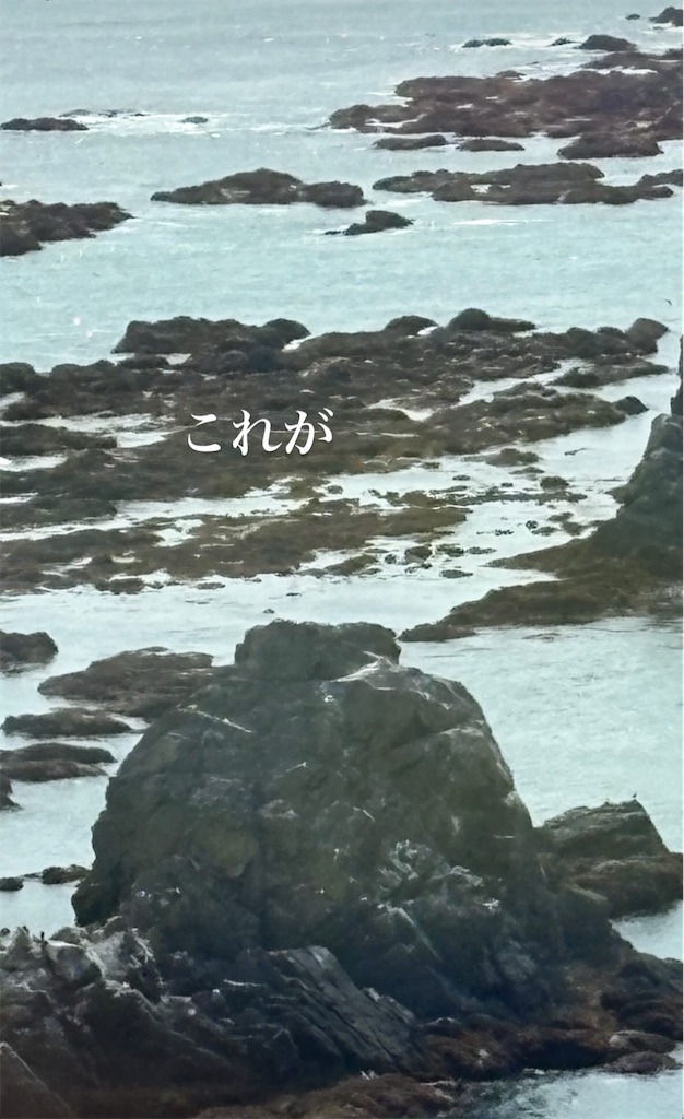 f:id:michiko_0609:20250615163954j:image