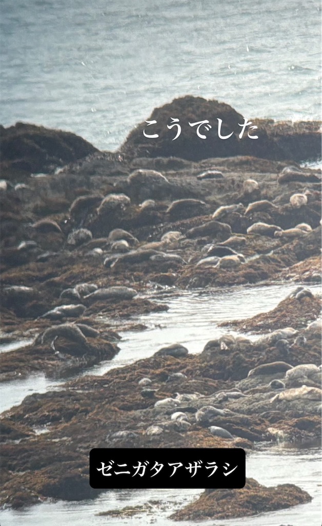 f:id:michiko_0609:20250615163957j:image