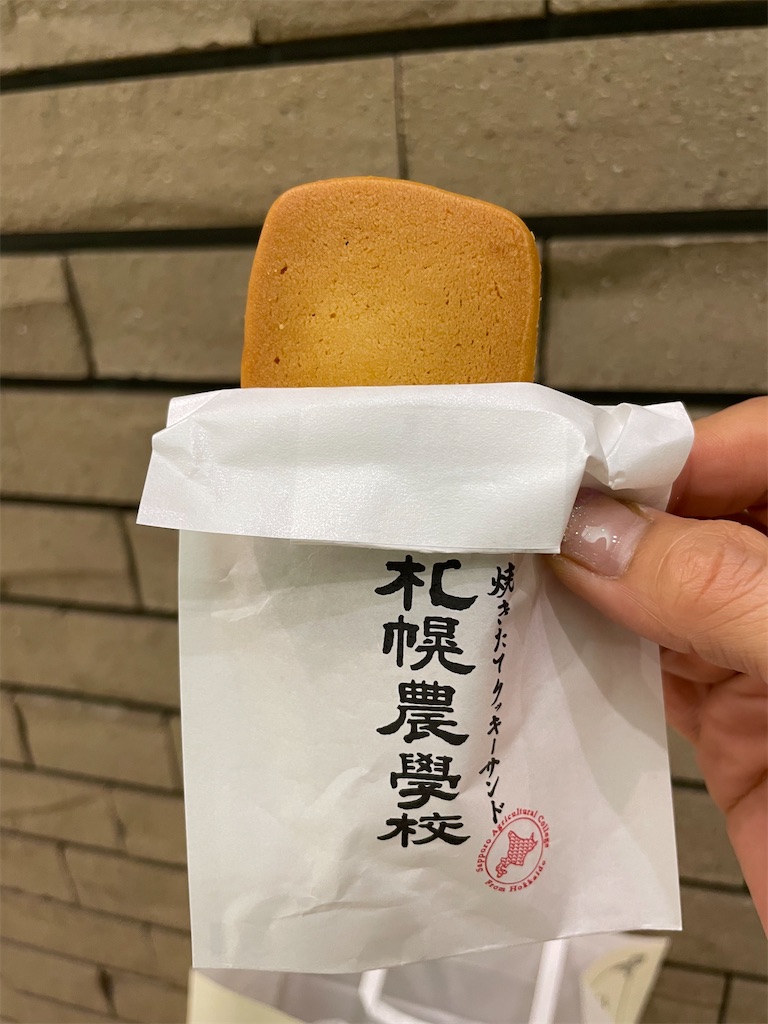 f:id:michiko_0609:20250615182028j:image