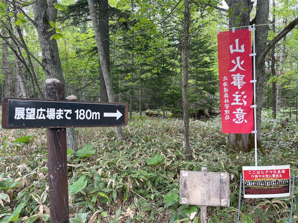 f:id:michiko_0609:20250615182037j:image