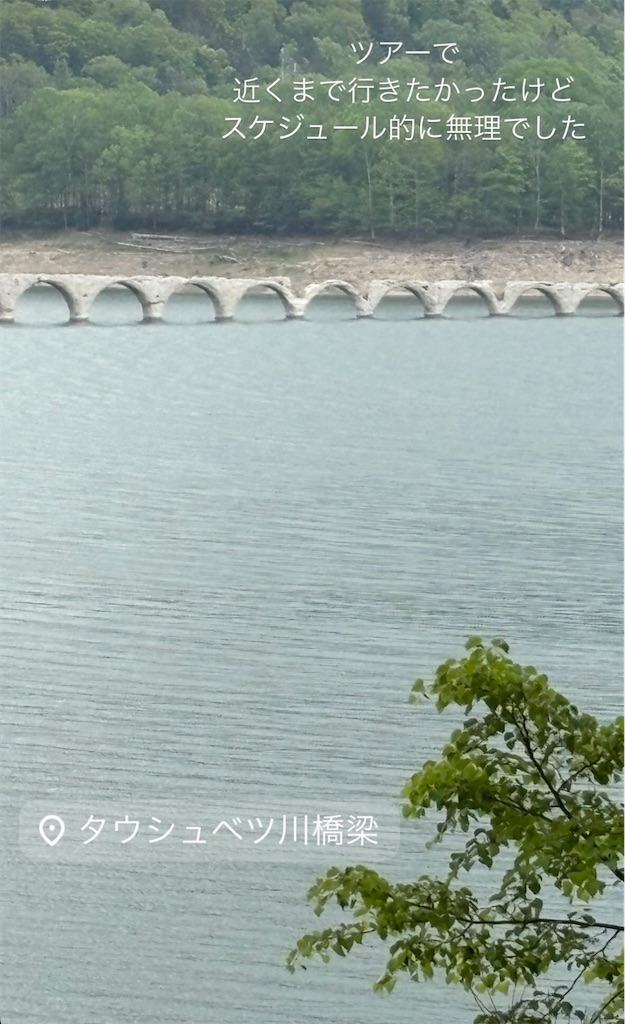 f:id:michiko_0609:20250615182042j:image