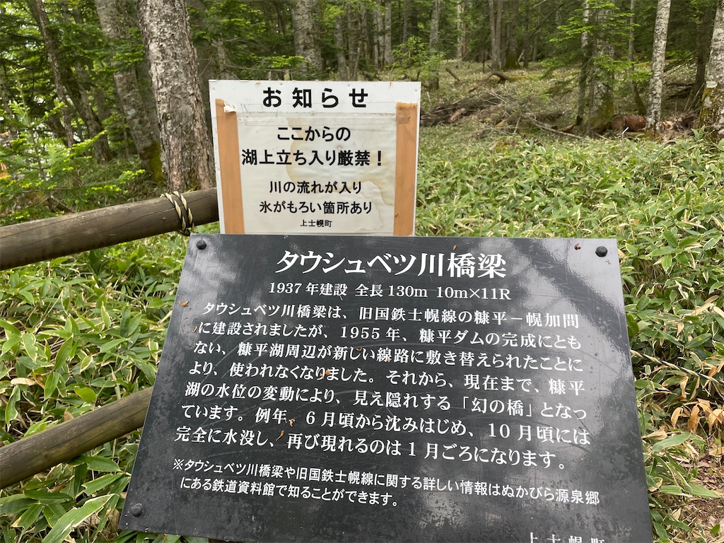 f:id:michiko_0609:20250615182151j:image