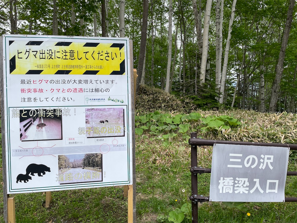 f:id:michiko_0609:20250615182206j:image