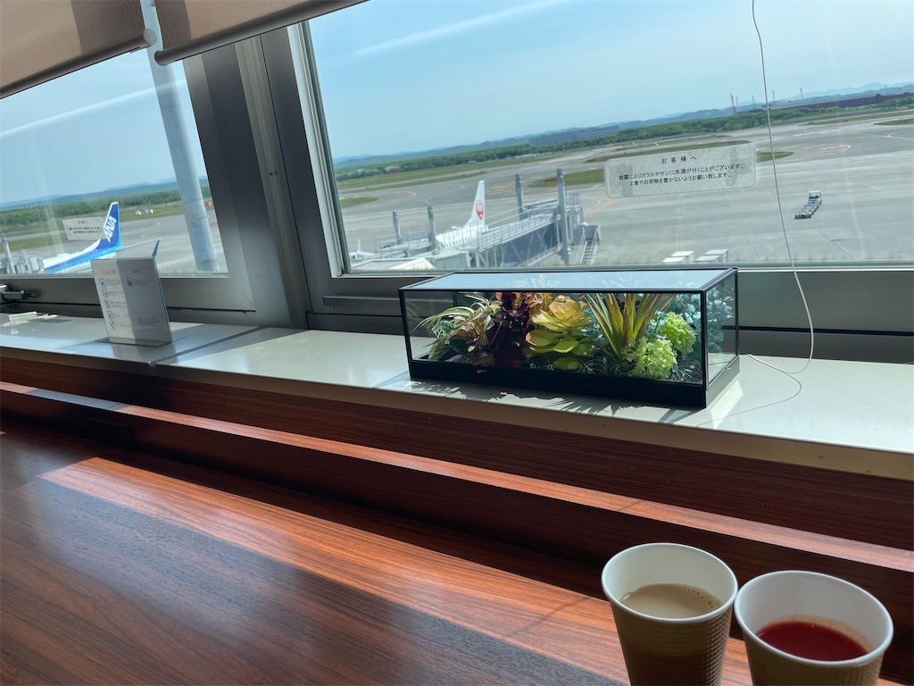 f:id:michiko_0609:20250617073612j:image