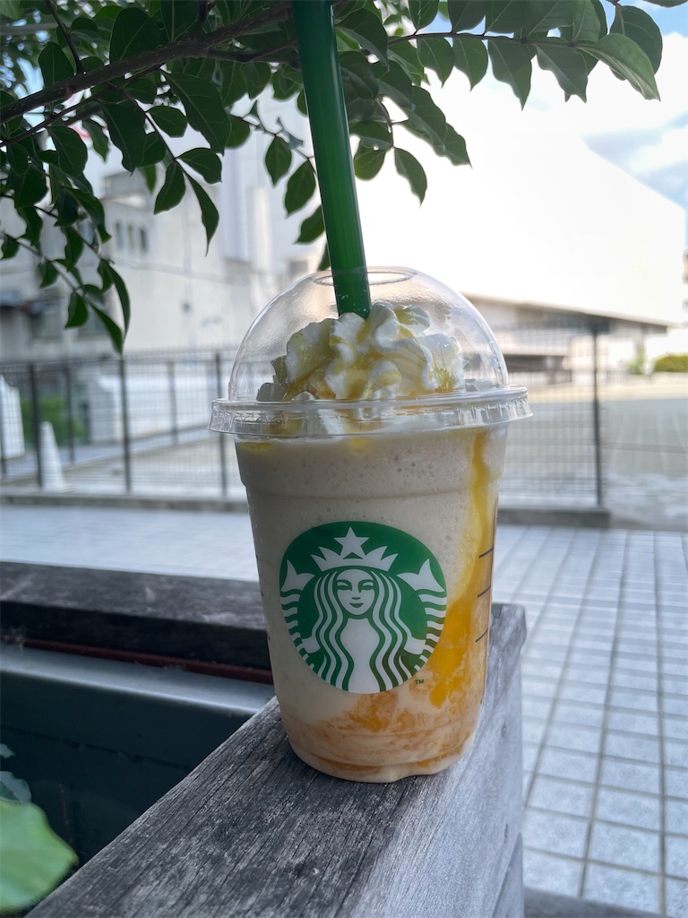 f:id:michiko_0609:20250617073622j:image