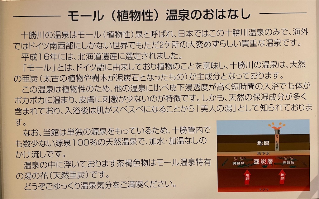 f:id:michiko_0609:20250617165823j:image