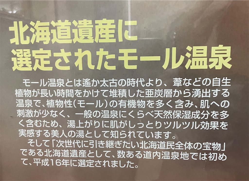 f:id:michiko_0609:20250617165909j:image