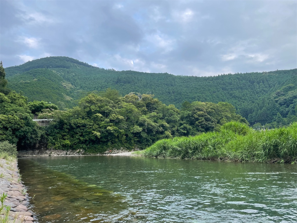f:id:michiko_0609:20250625074900j:image