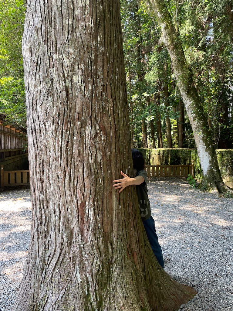 f:id:michiko_0609:20250625080541j:image