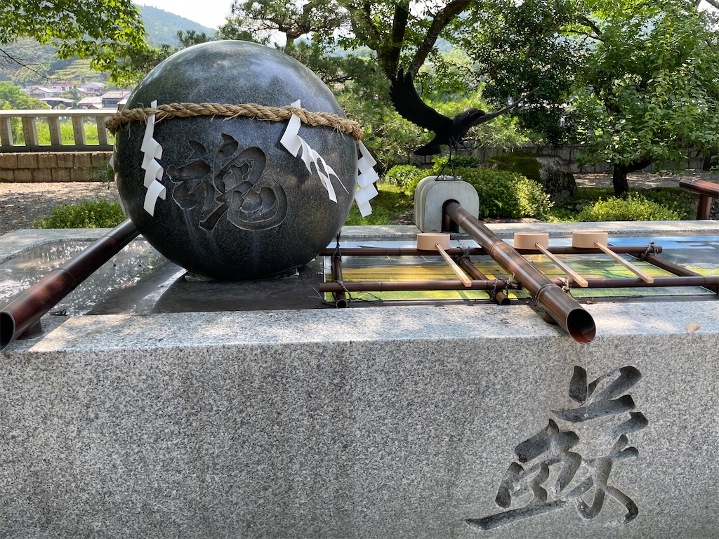 f:id:michiko_0609:20250625080637j:image