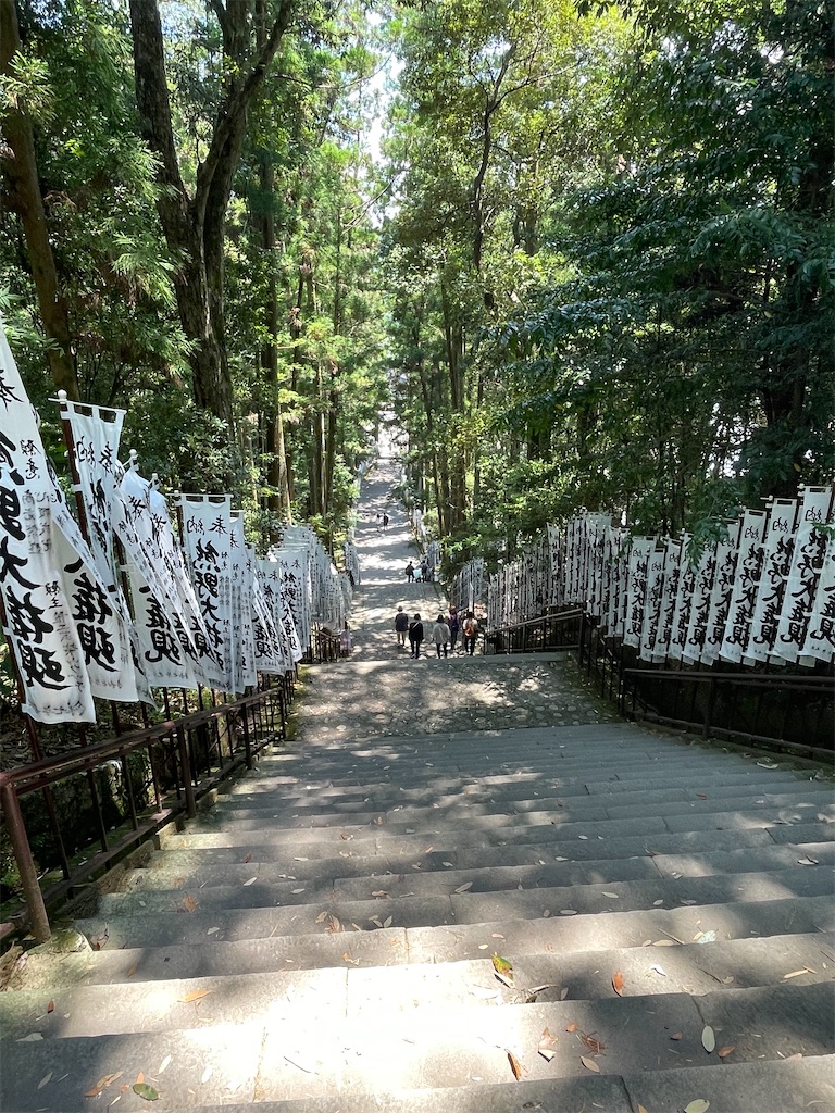 f:id:michiko_0609:20250625080649j:image