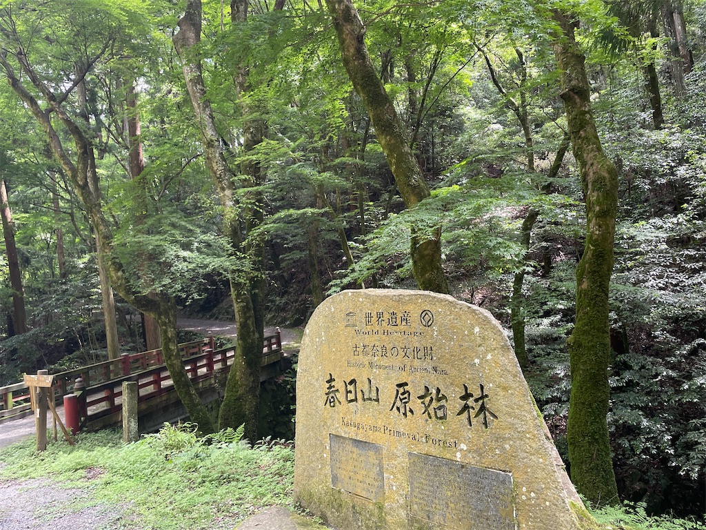 f:id:michiko_0609:20250709174031j:image