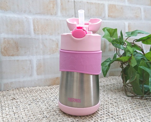 f:id:michiko_m:20190118144710j:plain