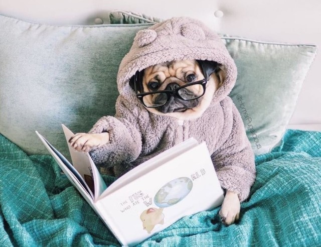 f:id:michiko_m:20190119164637j:plain