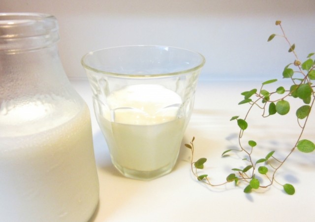 f:id:michiko_m:20190212060744j:plain