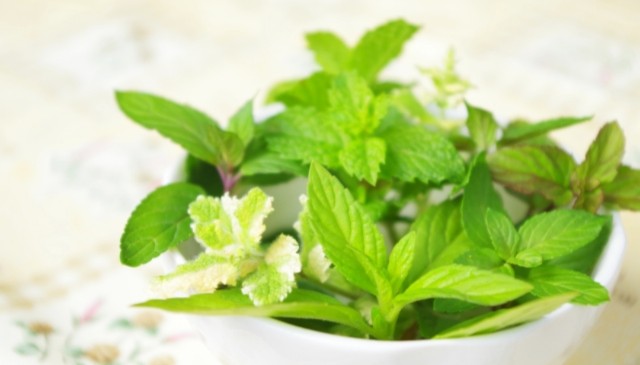 f:id:michiko_m:20190320155241j:plain