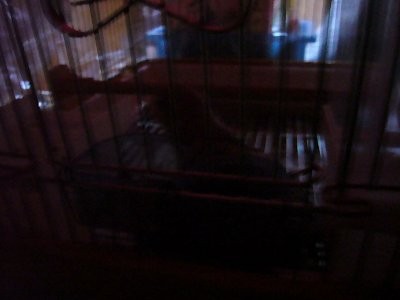 f:id:michiko_ta:20080415065039j:image f:id:michiko_ta:20080415065039j:image