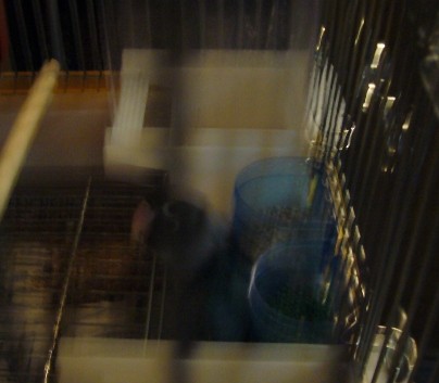 f:id:michiko_ta:20080426192319j:image f:id:michiko_ta:20080426192319j:image