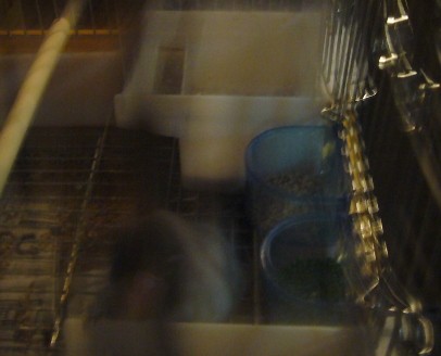 f:id:michiko_ta:20080426192325j:image f:id:michiko_ta:20080426192325j:image