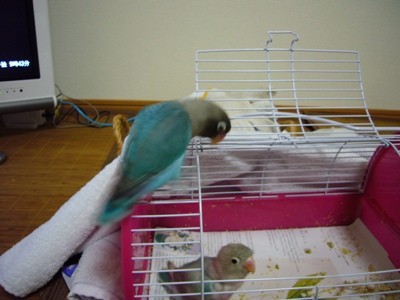 f:id:michiko_ta:20080430220309j:image f:id:michiko_ta:20080430220309j:image