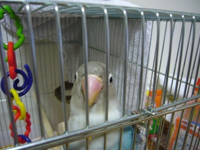 f:id:michiko_ta:20080505153635j:image f:id:michiko_ta:20080505153635j:image