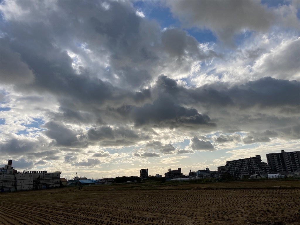 f:id:michikusahonpo:20221027104914j:image