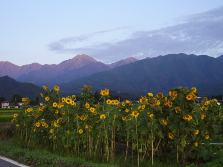 f:id:michimasa1937:20070809050905j:image