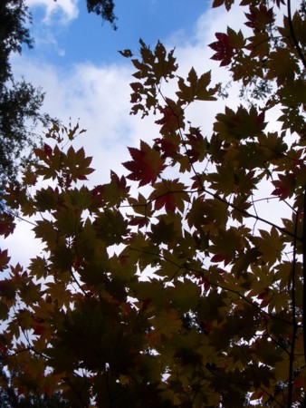 f:id:michimasa1937:20071020094822j:image