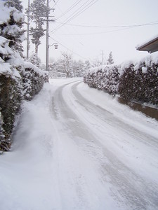 f:id:michimasa1937:20080204090316j:image:left