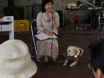 f:id:michimasa1937:20080504115513j:image