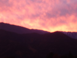 f:id:michimasa1937:20081111170559j:image