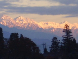 f:id:michimasa1937:20081112070119j:image