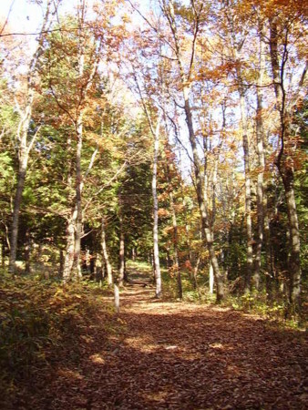 f:id:michimasa1937:20081112140623j:image