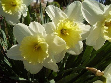 f:id:michimasa1937:20090411112126j:image